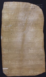 23 B.9.XXIIIv, Investitura fatta da Varino vescovo a favore di Giovanni prete e dei fratelli Domenico e Pietro, Modena, [1018-1019, feb. 10]